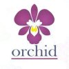 ارکید Orchid